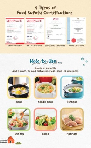 Double Happiness Baby Seasoning Powder